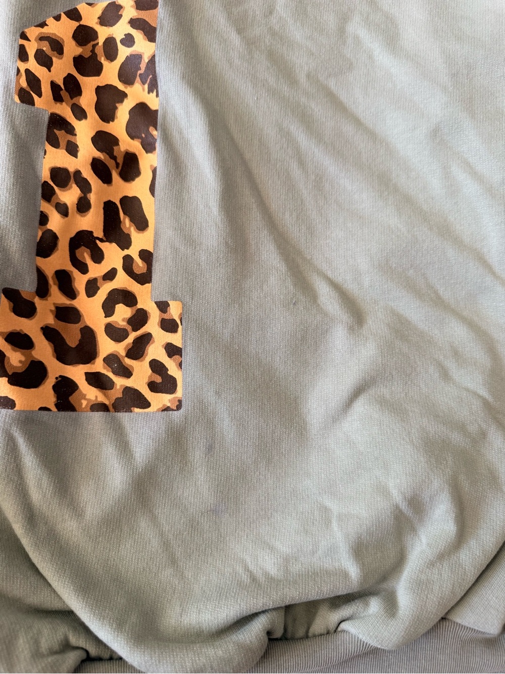 Jacket Subcategory Identification - Picture 3 of 4